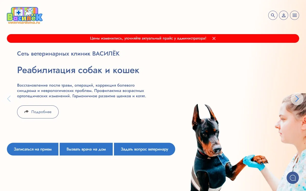 Снимок сайта Василёк